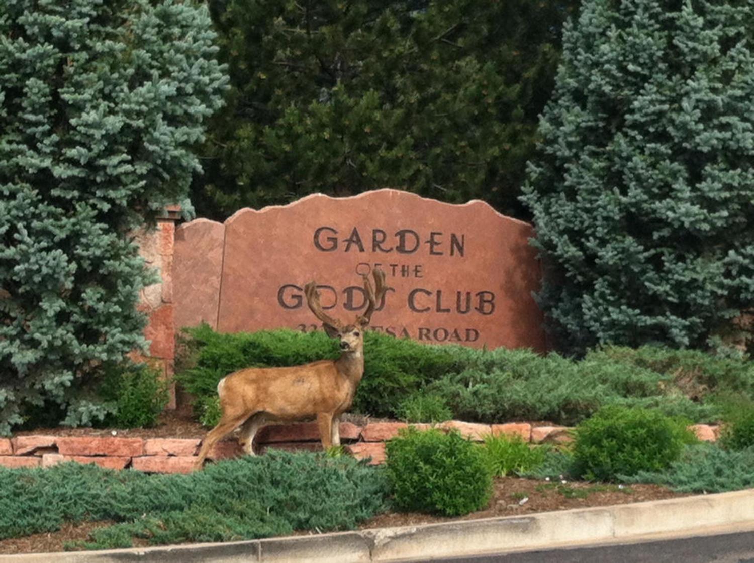 Garden Of The Gods Resort & Club Colorado Springs Buitenkant foto